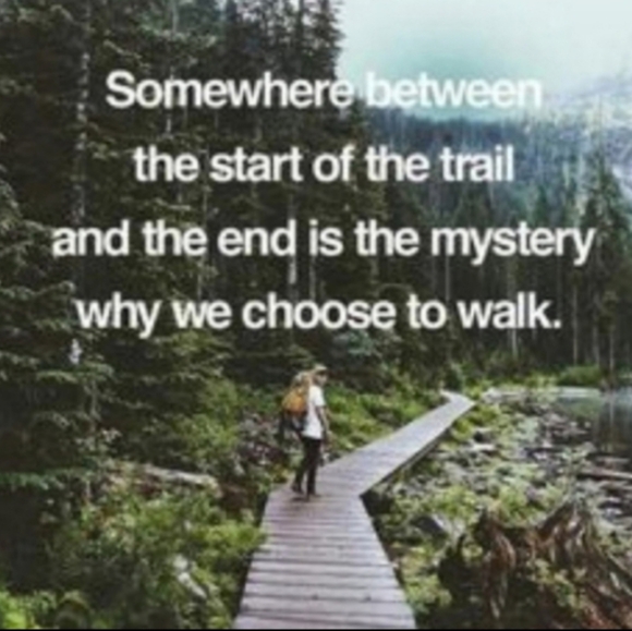 🍁 EPLC Tommy Hilfiger WOMAN Argyle CARDIGAN SZ LG- 1X - Picture 14 of 16